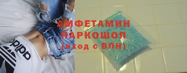 крисы Болотное