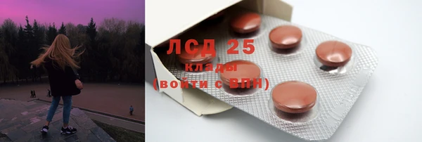 крисы Болотное