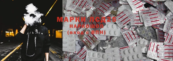 крисы Болотное