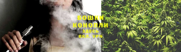 ГАЛЛЮЦИНОГЕННЫЕ ГРИБЫ Кулебаки
