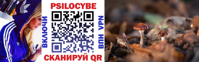 Псилоцибиновые грибы GOLDEN TEACHER Гулькевичи